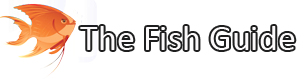 The Fish Guide Logo